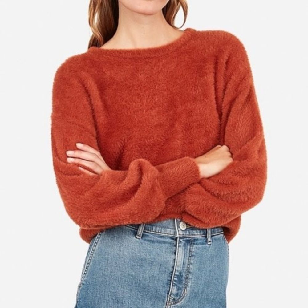 NWT Express Rust Fuzzy Sweater